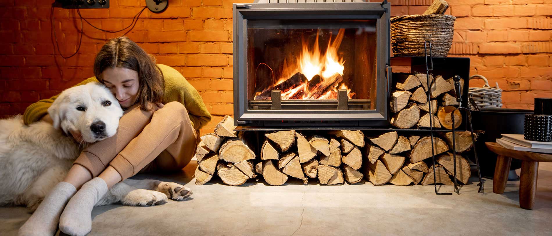 Wood Burning Stove to Keep Your Loved Ones Warm Wood Burning Stove
